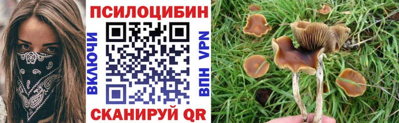 Галлюциногенные грибы прущие грибы Зеленокумск
