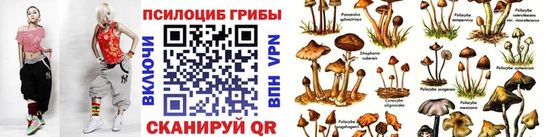 Галлюциногенные грибы MAGIC MUSHROOMS Зеленокумск